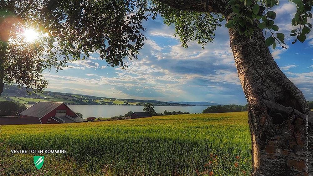 Teamsbakgrunn 6 - Eina  Foto: Petter Furuseth - Klikk for stort bilde