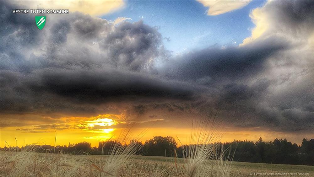 Teamsbakgrunn 12: Sillongen.  Foto: Petter Furuseth - Klikk for stort bilde