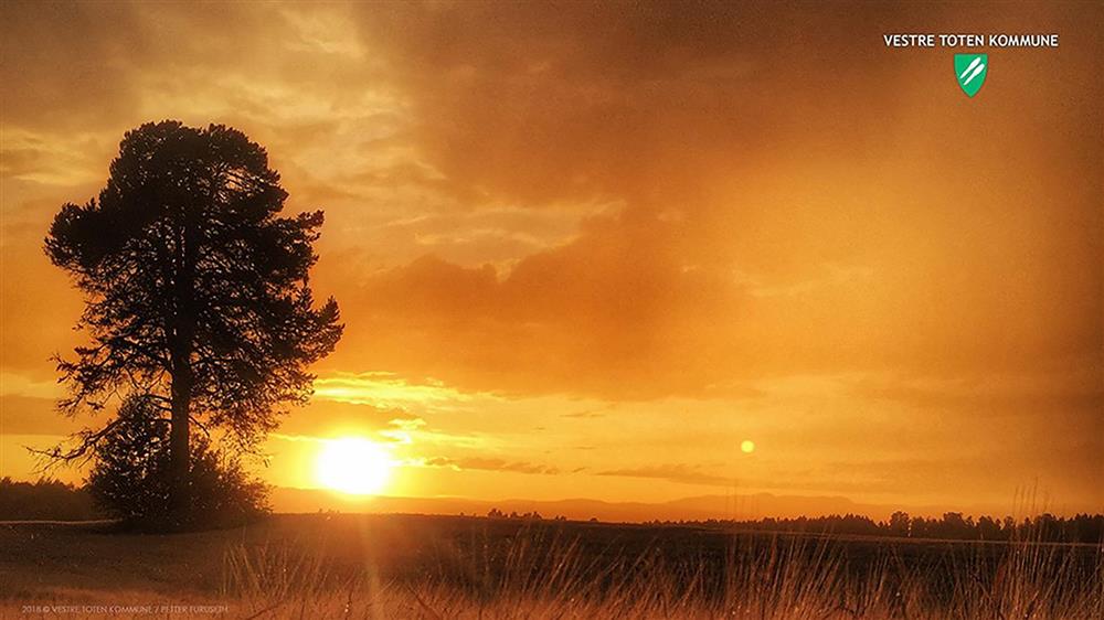 Teamsbakgrunn 7 - Raufoss øst.  Foto: Petter Furuseth - Klikk for stort bilde