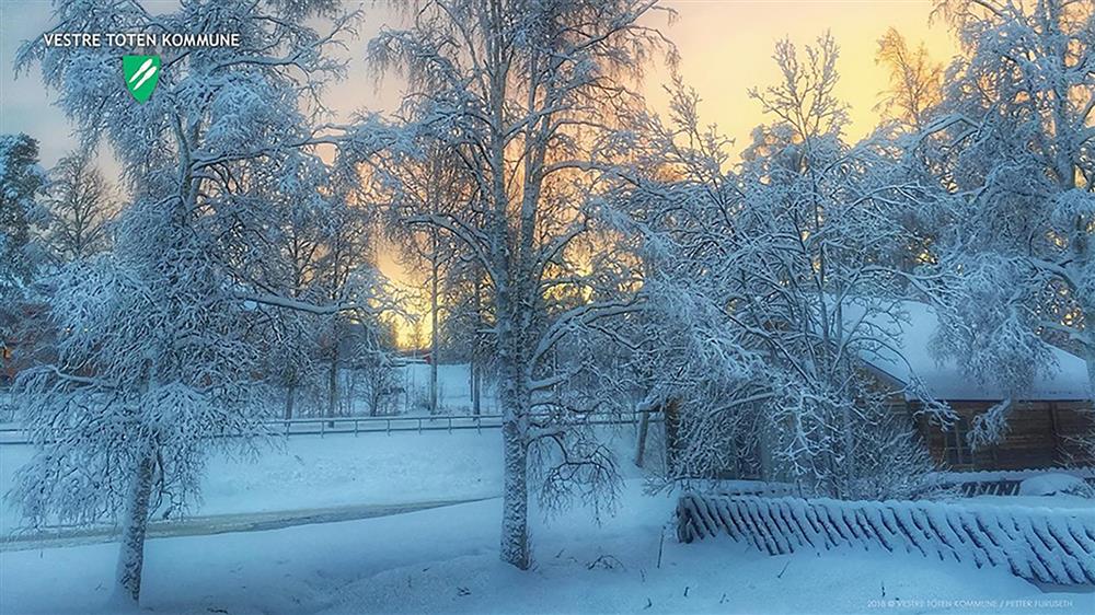 Teamsbakgrunn 25: Fugleparken.  Foto: Petter Furuseth - Klikk for stort bilde