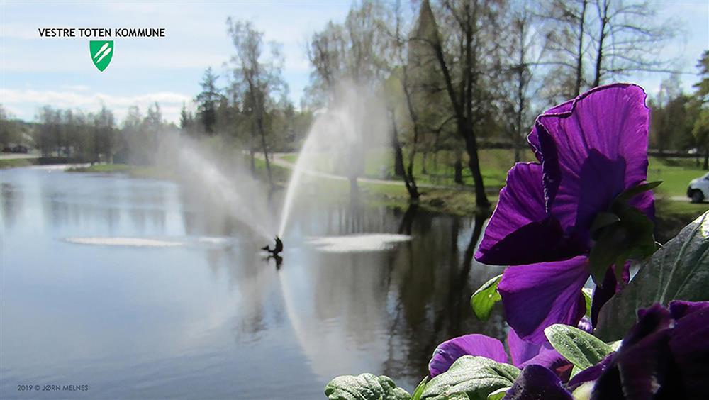 Teamsbakgrunn 11: Skoledammen.  Foto: Jørn Melnes - Klikk for stort bilde